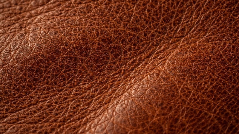 eather grain with natural pores and texture