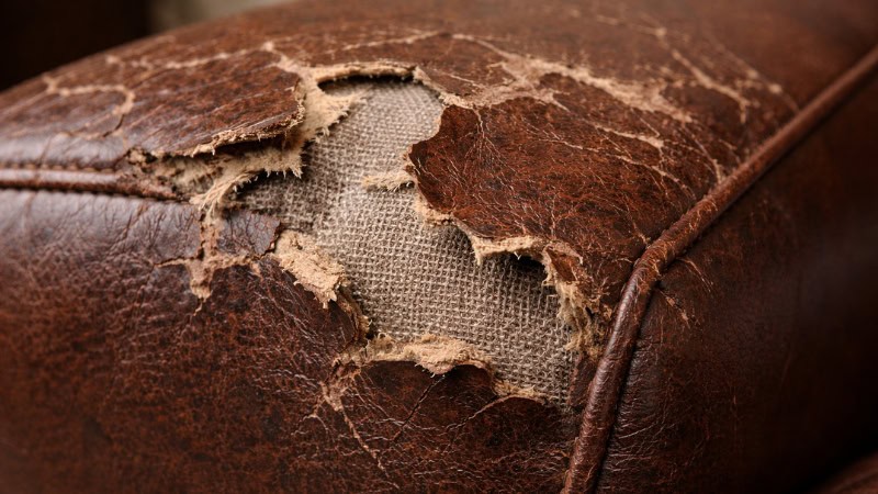 Peeling bonded leather couch armrest with exposed backing