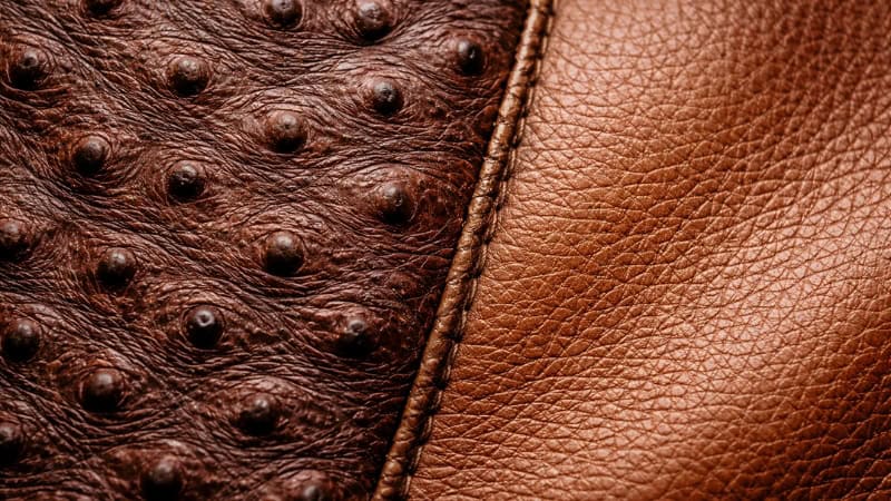 Ostrich leather quill pattern vs cowhide texture